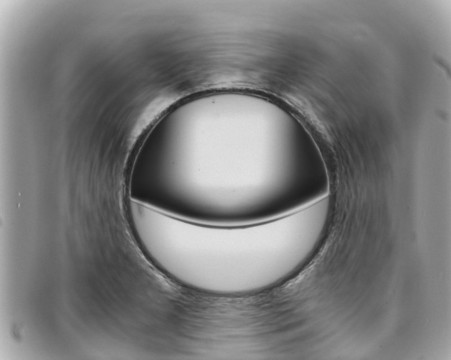 X0000095521277200712140901