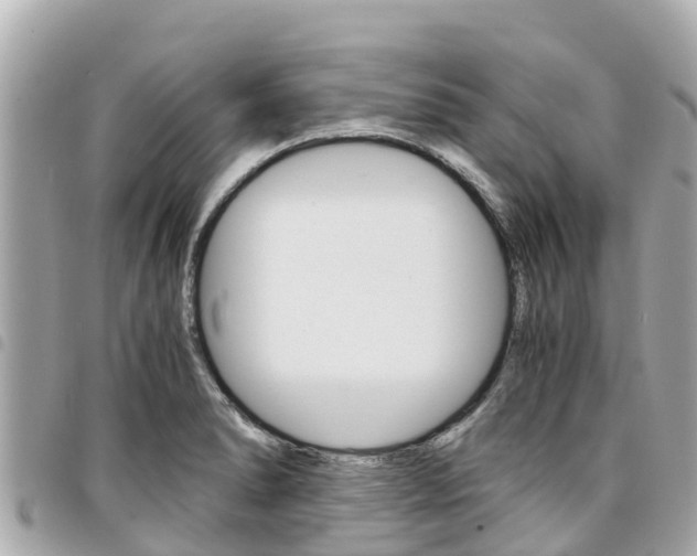 X0000095521278200712140901