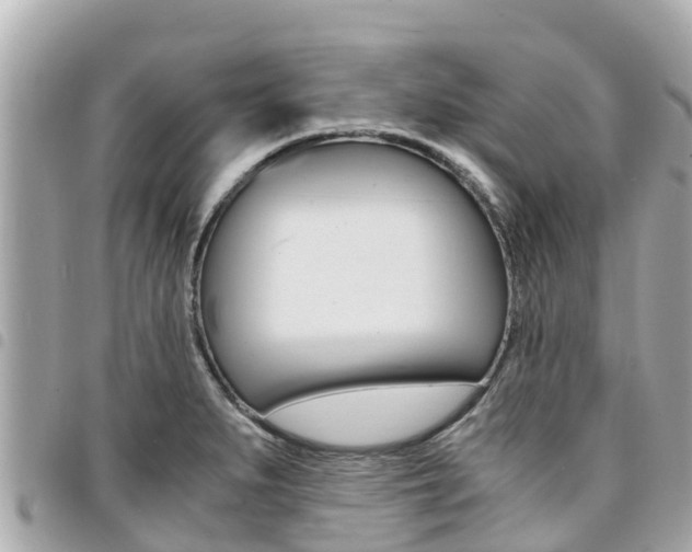 X0000095521279200712140901
