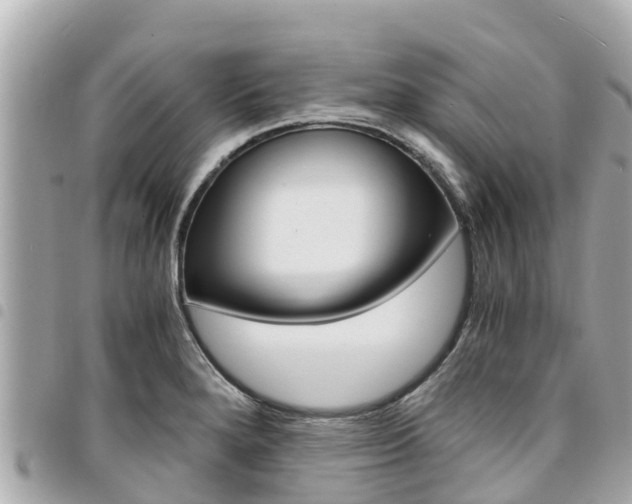 X0000095521280200712140901