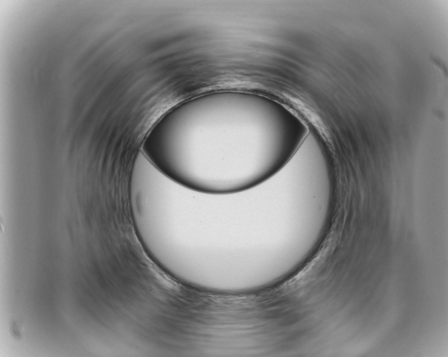 X0000095521281200712140901