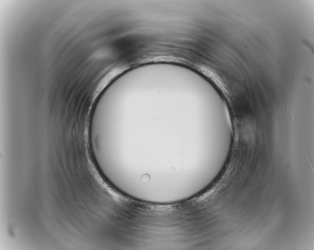 X0000095521282200712140901