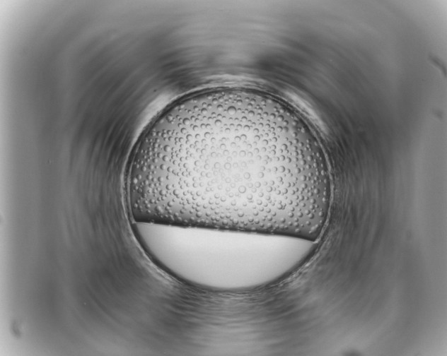X0000095521283200712140901
