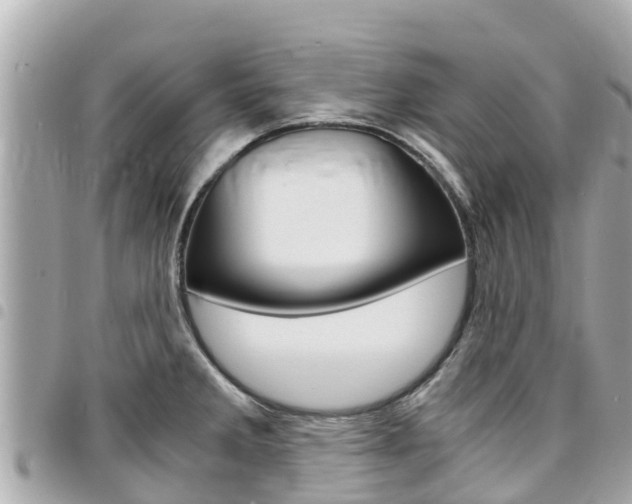 X0000095521285200712140901
