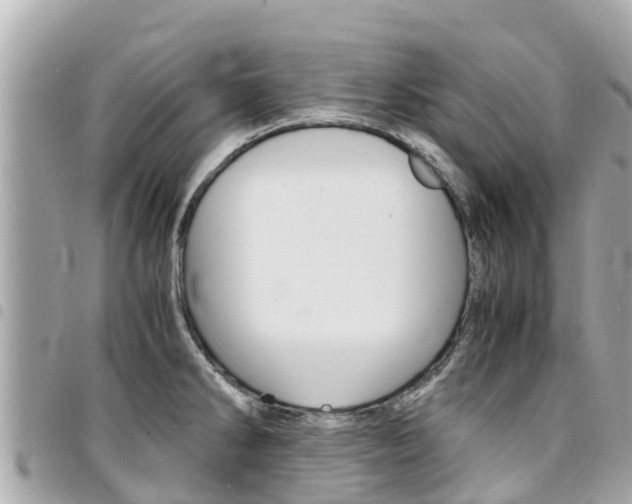 X0000095521286200712140901