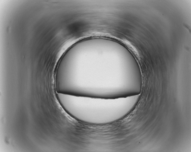 X0000095521287200712140901