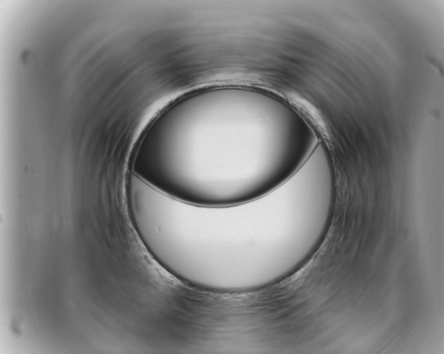 X0000095521288200712140901