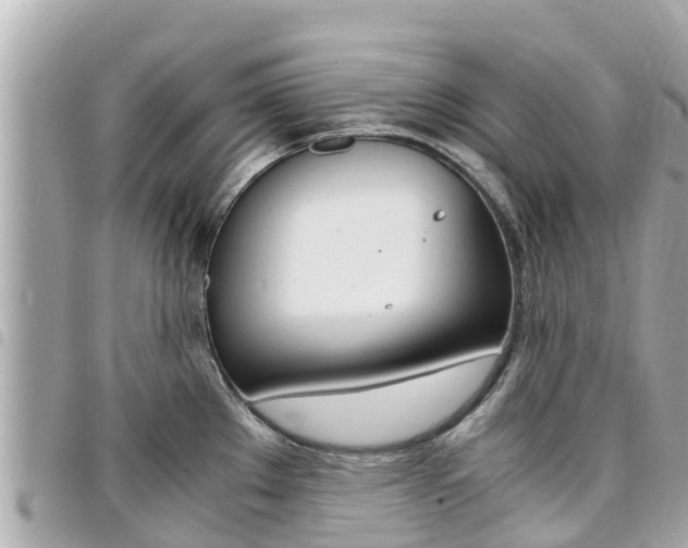 X0000095521289200712140901