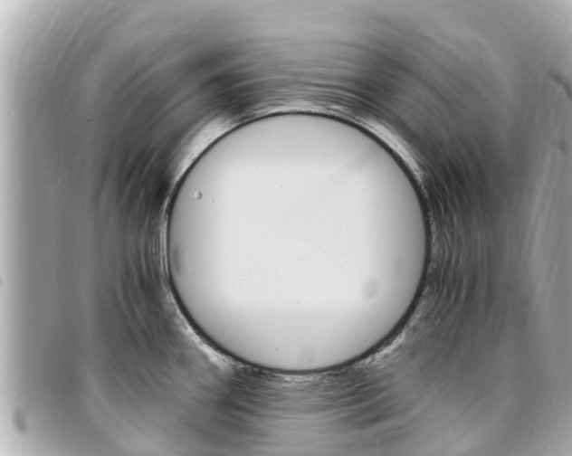 X0000095521290200712140901