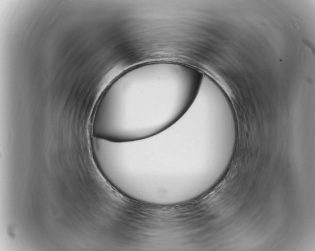 X0000095521291200712140901