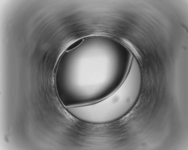 X0000095521292200712140901