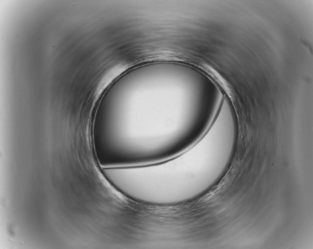 X0000095521293200712140901