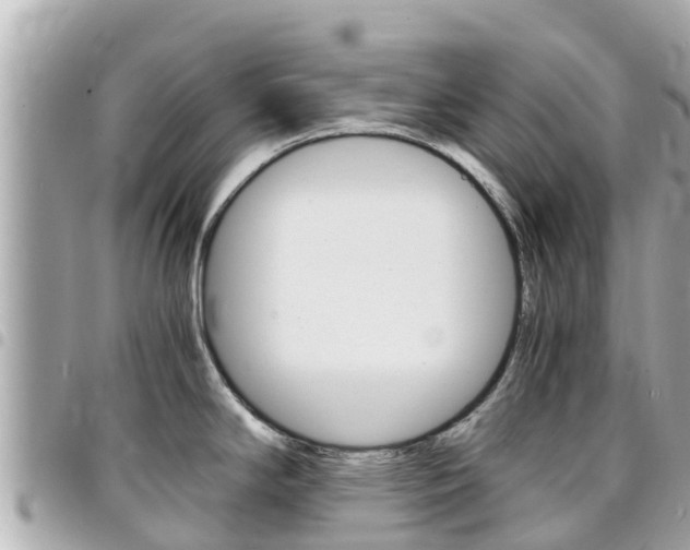 X0000095521294200712140901