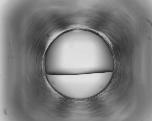 X0000095521295200712140901
