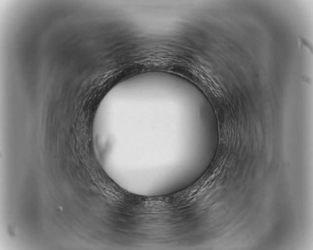 X0000095521297200712140900