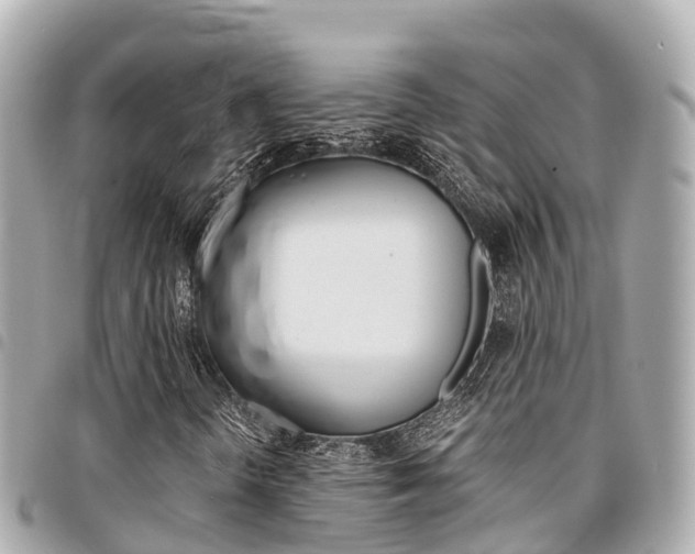 X0000095521298200712140900