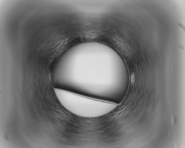 X0000095521299200712140900