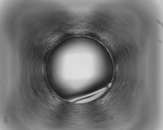 X0000095521300200712140900