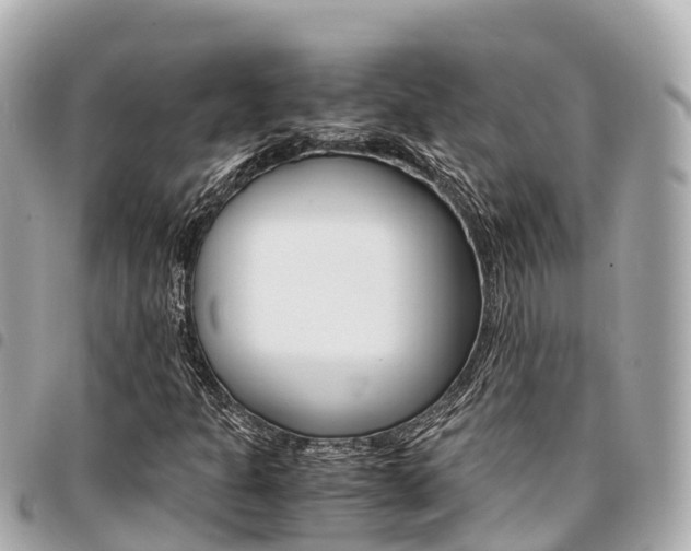 X0000095521301200712140900