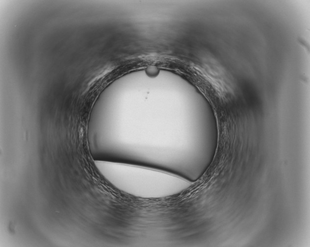 X0000095521302200712140900