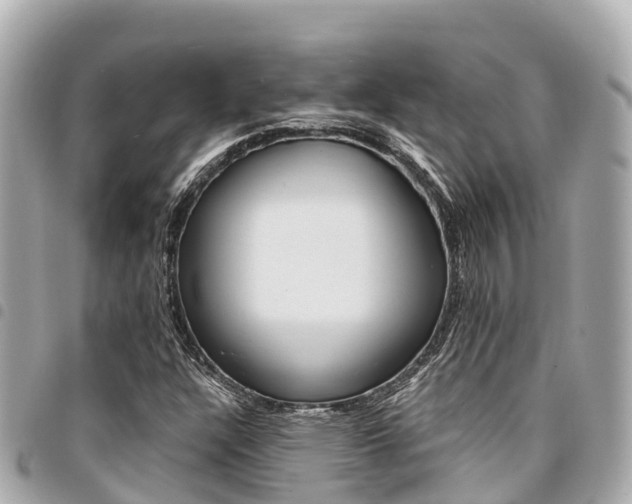 X0000095521304200712140900