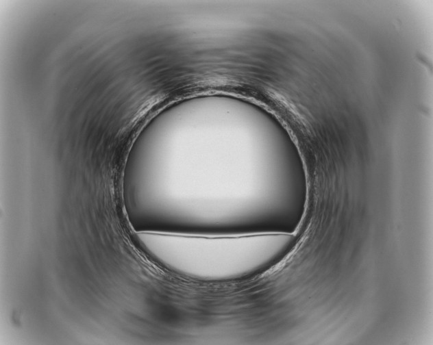 X0000095521305200712140900