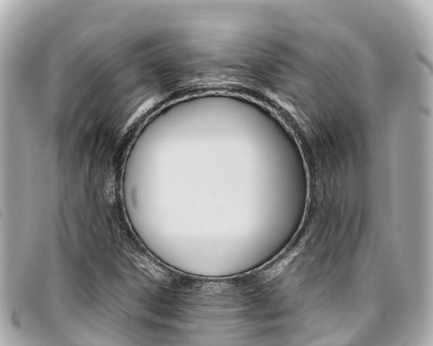 X0000095521306200712140900