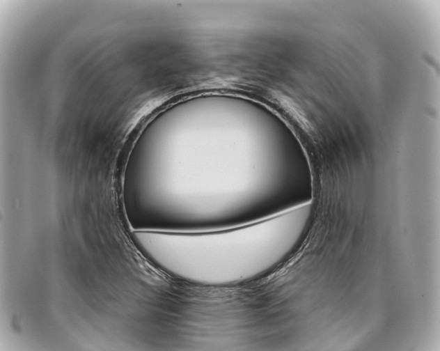 X0000095521308200712140900