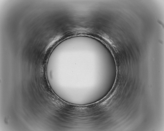 X0000095521309200712140900