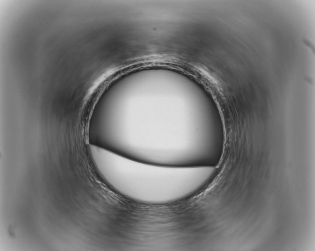 X0000095521310200712140900