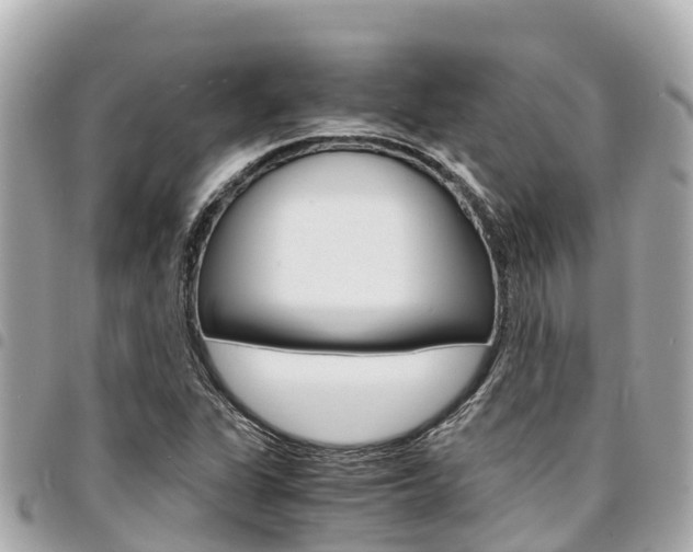 X0000095521311200712140900