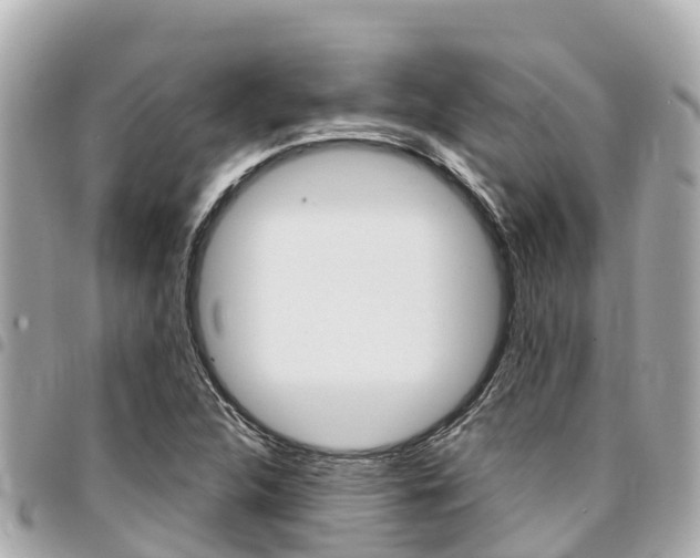 X0000095521312200712140900