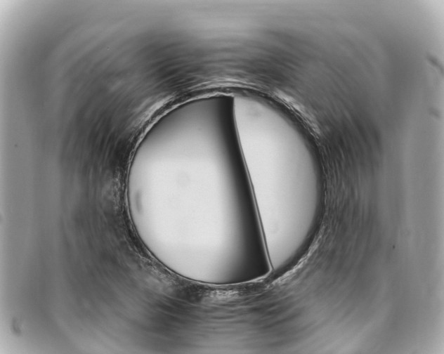 X0000095521313200712140900