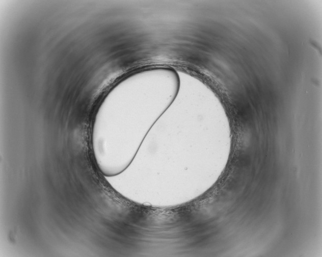 X0000095521314200712140900