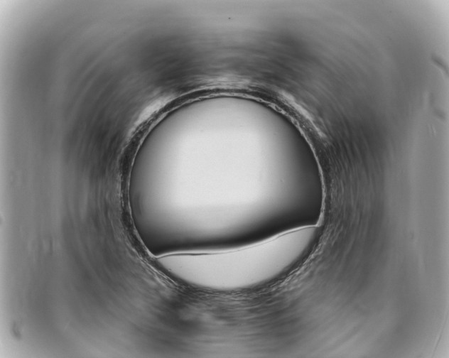 X0000095521315200712140900