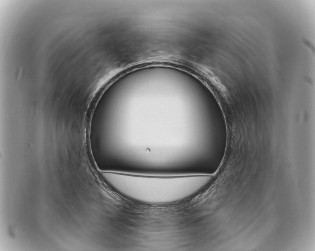 X0000095521316200712140900