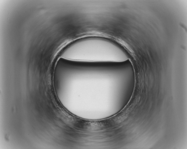 X0000095521318200712140900