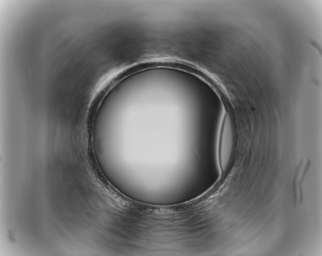 X0000095521319200712140900
