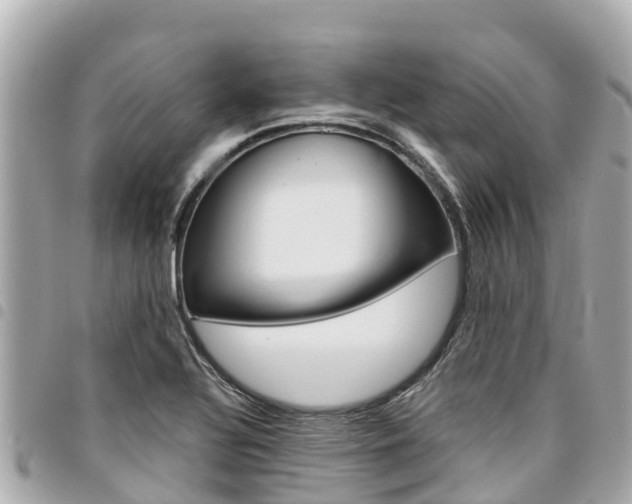X0000095521320200712140900
