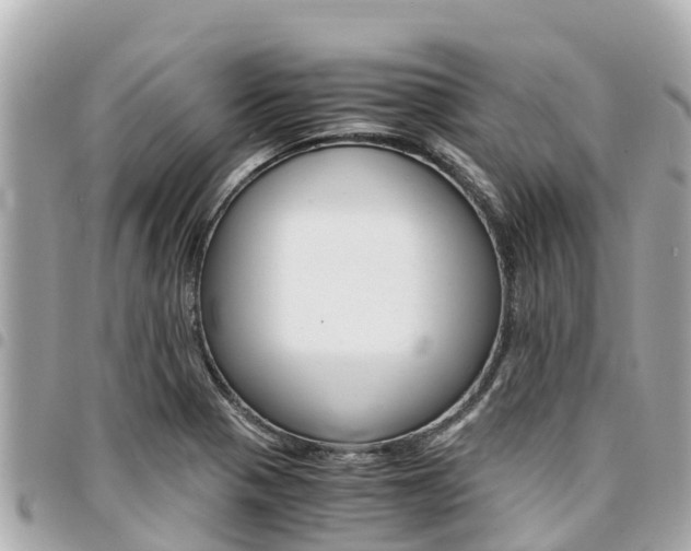 X0000095521321200712140900