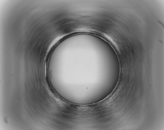 X0000095521323200712140900