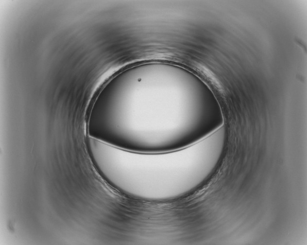 X0000095521324200712140900