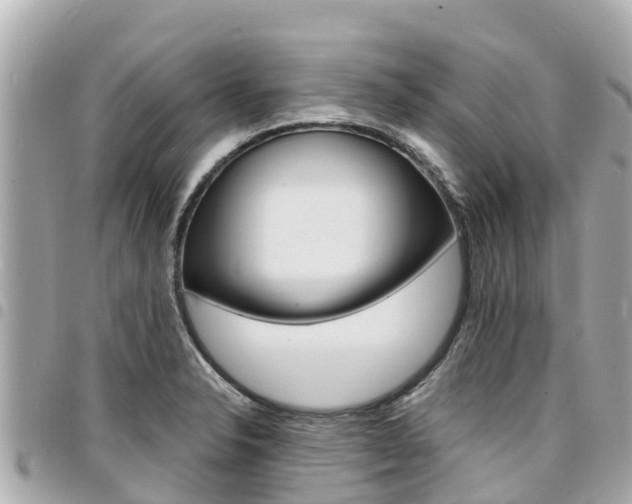 X0000095521326200712140900