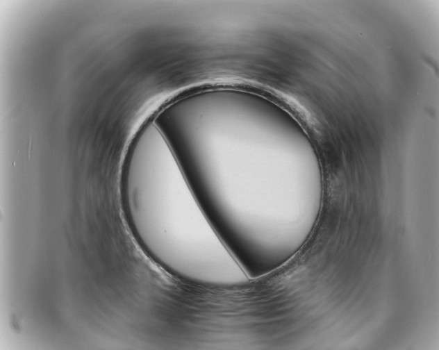 X0000095521327200712140900