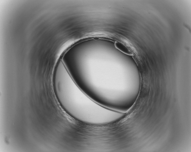 X0000095521328200712140900