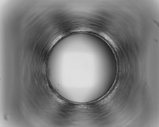 X0000095521329200712140900