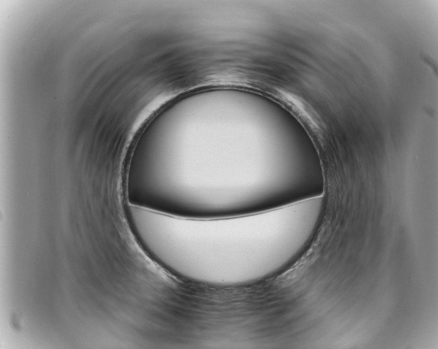 X0000095521331200712140900