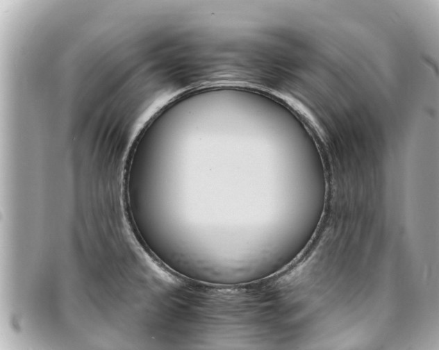 X0000095521333200712140900