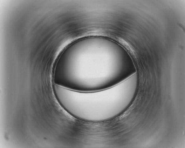 X0000095521334200712140900