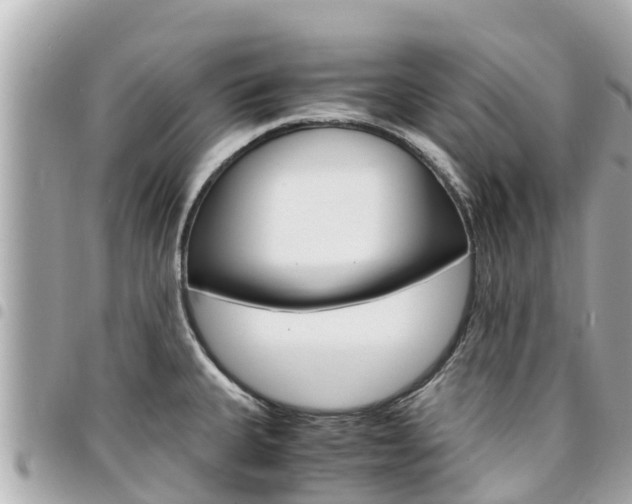 X0000095521335200712140901